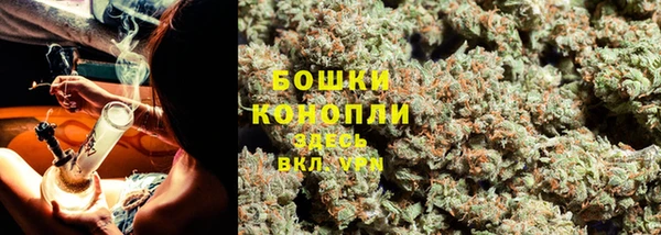 Альфа ПВП Новый Уренгой
