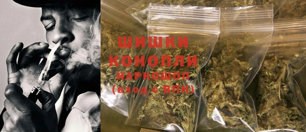 прущие грибы Орехово-Зуево
