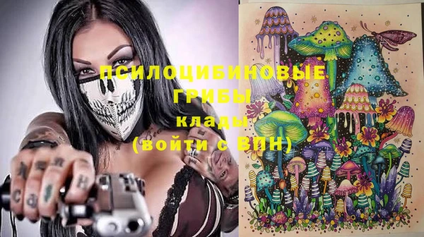 прущие грибы Орехово-Зуево