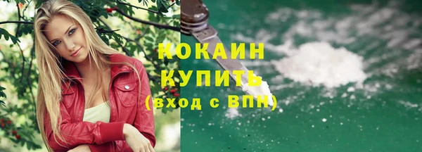 прущие грибы Орехово-Зуево